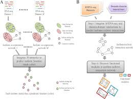 Predicting Protein Functions At The Isoform Level Over The Past Few Decades Many Computational Methods Have Been Developed To Predictions Inference Function