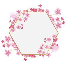 Design Frame Sakura Circle Cherry Pink Floral Blossom Nature Spring Round Card Wreath Art Plant Tr Flower Drawing Cherry Blossom Drawing Cherry Blossom Flowers