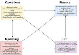 Interdependence Of Business Functions