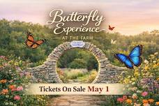 Butterfly Experience at the Farm