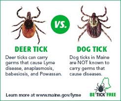 Before deciding to do it yourself, you are well advised to consider calling in a pro. Maine Cdc Deer Ticks And Dog Ticks Are The Two Most Common Ticks In Maine Deer Ticks Can Carry Germs That Cause Several Diseases While Dog Ticks Are Not Currently Known