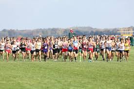 Cross country newbiegeneral cross country (self.crosscountry). How Covid 19 Affects High School Cross Country Running