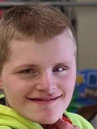 Wolfinger Cemetery Sylvania Twp., OH