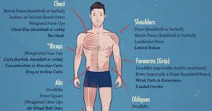 The 'time course' of fitness changes depends on the training under the right circumstances, six weeks may be enough. How Long Does It Take To Build Muscle Bodybuilding Fitness Gym Fitfam Workout Muscle Health Fit Motivation Workout Guide Build Muscle Fitness Trainer
