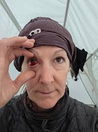 Terry Hawn's Instagram, Twitter & Facebook