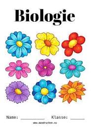 Biologie Deckblatt Blumen Deckblatt Deckblatt Gestalten Bio Deckblatt