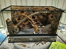 I Like The Idea Of Making Removable Backgrounds For His Tank Since Its A 55 I Could Make Them For Half His Tank And Maybe Reptile Terrarium Vivarium Terrarium
