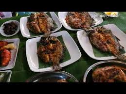 Hormon pada tanaman diperlukan sebagai zat pertumbuhan. Sotong Buncit Mai Cuba Di Restoran Rimbun Mat Top Sungai Petani Kedah Youtube