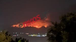 Χαλκιδική ξενοδοχεία όπου επιτρέπονται τα κατοικίδια. U 1mho0roksrzm