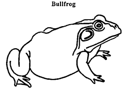 Select from 35970 printable crafts of cartoons, nature, animals, bible and many more. Pregnant Bullfrog Coloring Pages Best Place To Color Coloring Pages Bullfrog Coloring Pictures