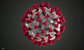 Vaccine rollout as of jul 26: First Central Coast Covid 19 Cases Reported One Year Ago Kion546