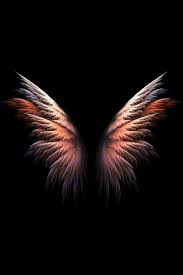 Pin By Irum Awan On Angels Angel Wallpaper Black Background Wallpaper Wings Wallpaper