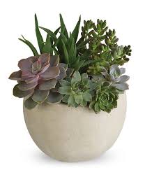 We stock rare, common and sought after succulents. Modern Succulent Garden At From You Flowers