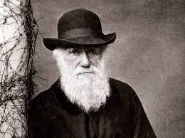 The darwin awards commemorate the (remains of) individuals who contribute to the improvement of our gene pool by removing themselves from it. Was Lehrt Uns Die Evolutionstheorie