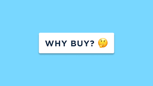 The huge investors and stakeholders still have not how to acquire digital assets? First Time Buyers Guide Why Buy A Digital Asset Flippa