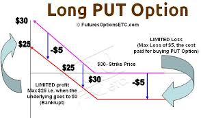 Long Put Option How To Trade Long Put Payoff Charts