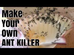 1000 ideas about ant killer recipe on pinterest. How To Make Homemade Ant Killer Youtube