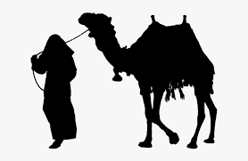 Over 2,182 camel man pictures to choose from, with no signup needed. Camel Silhouette Clip Art Man On Camel Silhouette Hd Png Download Kindpng