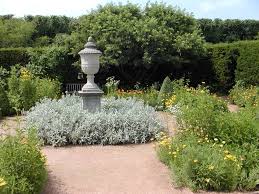 Check spelling or type a new query. Selecting Shrubs For The Landscape Oklahoma State University