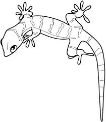 Pin On Animal Coloring Sheets