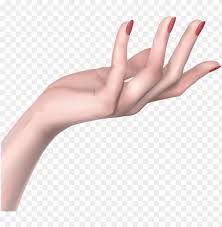 Hand Png Png Freeuse Woman Hand Png Image With Transparent Background Toppng Hand washing lifebuoy hand sanitizer soap, lifebuoy transparent background png clipart. hand png png freeuse woman hand png