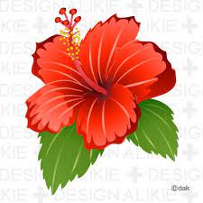 Hibiscus Clipart Google Search Flower Clipart Hibiscus Flower Pictures