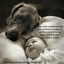 Animal quotes and images for tuesday. Dog And Baby Quotes Pinterest Bokkor Quotes