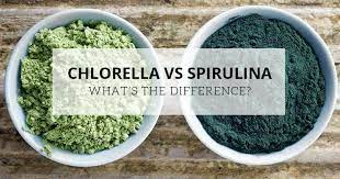 Chlorella contains 63 mg of chlorophyll per 3 grams, while spirulina contains only 33 mg per 3 grams. Chlorella Vs Spirulina What S The Difference