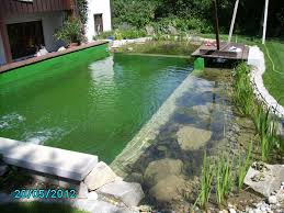 Piscina Natural Garden Pool Design Natural Pool Natural Swimming Ponds