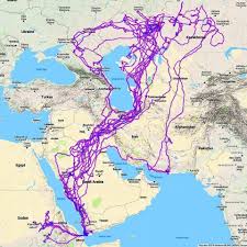 A pet tracking device is either attached to your pet's existing collar or it size matters. Tracking Of An Eagle Over A 20 Year Period Mapporn