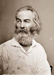 Walt Whitman Scrittori Celebrita Letteratura