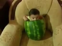 Maybe you would like to learn more about one of these? Funny Baby Videos Baby Eating Watermelon Cute Baby Eats A Melon Video Dailymotion