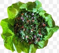 Tabbouleh Images Tabbouleh Transparent Png Free Download It's as easy as that.great for removing background in portrait or product photos.