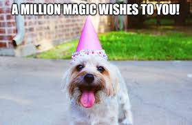 Normal, funny, unique, and loving ways to end your letters. 100 Alternative Ways To Say Happy Birthday Holidappy Celebrations