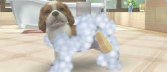 They win these competitions to earn cash, which they can use to buy supplies and even more dogs to keep their first puppy company. Nintendogs Cats Nintendo 3ds Game Review