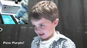 Learning from the Wizard