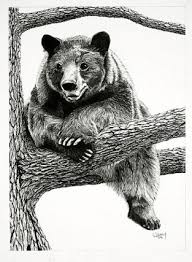 Wild Animals Animal Art Delaney Bear Drawing Bear Art Animal Art