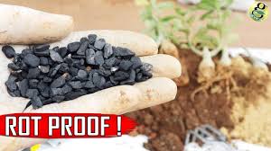 If your cactus's pot doesn't have one, the water will fill up the bottom of the pot and soak the roots. Perfect Soil Mix For Succulents Cactus Mix Adeniums Best Potting Mix Youtube