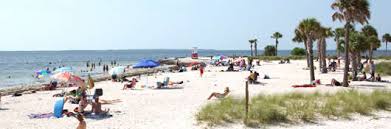 We did not find results for: Pinellas County Florida Park Conservation Resources Fred Howard Park