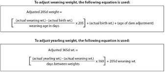 Using The Adjusted Weaning Weight Formula And The Adjusted Yearling Weight Formula We Are Able To Keep A Good Record Of Each What Ea Yearling Weaning Farm Life