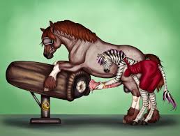 Horse breed porn - Best photos on modelair.co.nz