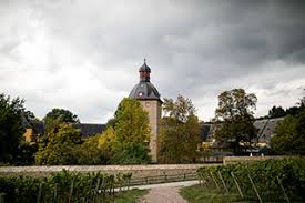 Die beiden feierten eine wunderbar entspannte hochzeit mit ihren liebsten menschen. Hochzeit Auf Schloss Vollrads Im Rheingau In Oestrich Winkel