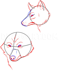 Add some faint lines near the eyes, forehead, and neck to. How To Draw Wolves Step By Step Drawing Guide By Dawn Dragoart Com