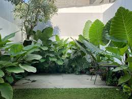 Grandscape Solutions