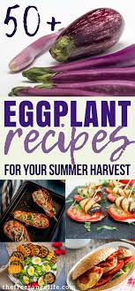 50 Delicious Eggplant Recipes For The Whole Family Eggplant Recipes Easy Baked Eggplant Recipes Eggplant Recipes