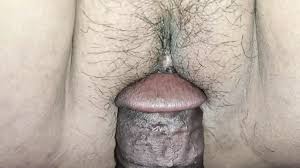 Bihari Chudai Porn Videos: Best XXX 2024 | xHamster