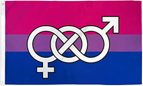 A place to celebrate both, black is the new rainbow. Az Flag Flagge Bisexuellen Mit Symbol 150x90cm Lgbt Bisexualitat Fahne 90 X 150 Cm Flaggen Top Qualitat Amazon De Garten