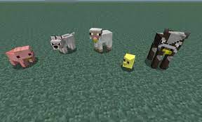 Minecraft Baby Chicken Google Search Minecraft Baby Minecraft Minecraft Mods