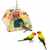 Domestic birds make wonderful pets, but they need a lot of care and attention for them to live long, healthy and stimulated lives. Bird Supplies Buy Best Price In Uae Dubai Abu Dhabi Sharjah