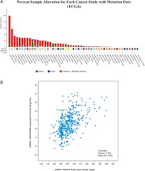Cancer is refers to a group of more than a hundred diseases that can originate in many different parts of the body. Early And Consistent Overexpression Of Adrm1 In Ovarian High Grade Serous Carcinoma Journal Of Ovarian Research Full Text